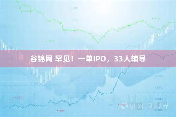 谷锦网 罕见！一单IPO，33人辅导