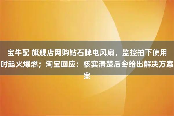 宝牛配 旗舰店网购钻石牌电风扇，监控拍下使用时起火爆燃；淘宝回应：核实清楚后会给出解决方案