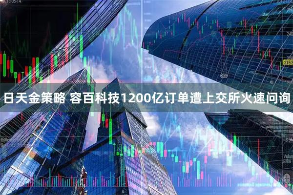 日天金策略 容百科技1200亿订单遭上交所火速问询