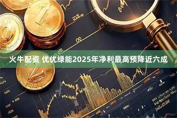 火牛配资 优优绿能2025年净利最高预降近六成