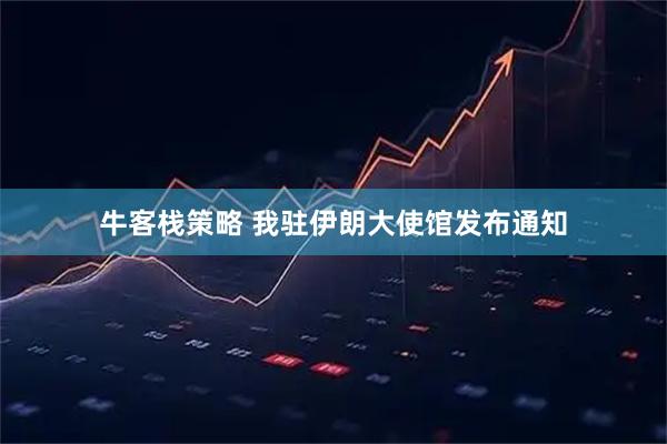 牛客栈策略 我驻伊朗大使馆发布通知