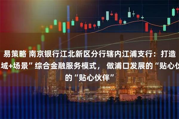 易策略 南京银行江北新区分行辖内江浦支行：打造 “区域+场景”综合金融服务模式， 做浦口发展的“贴心伙伴”
