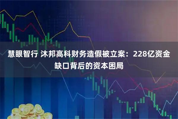 慧眼智行 沐邦高科财务造假被立案：228亿资金缺口背后的资本困局